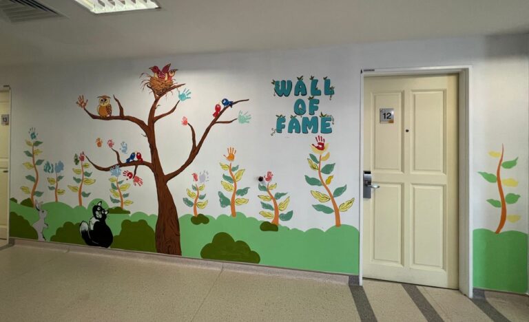 NPM CSR Rumah Ronald Mcdonald Mural Painting 69