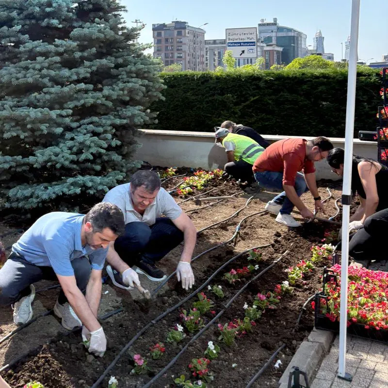 A group of Betek employees working together to plant flowers in a garden bed.